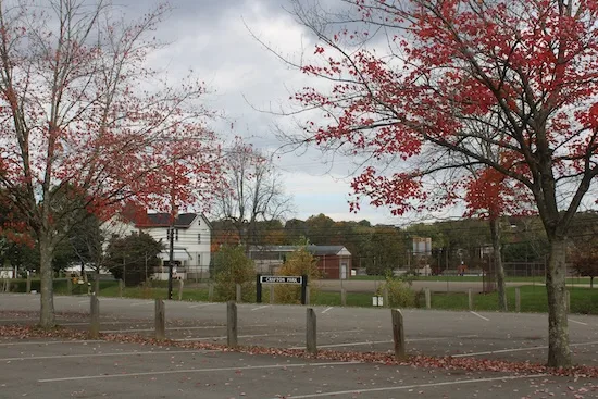 Council pushes forward with matching park grant application