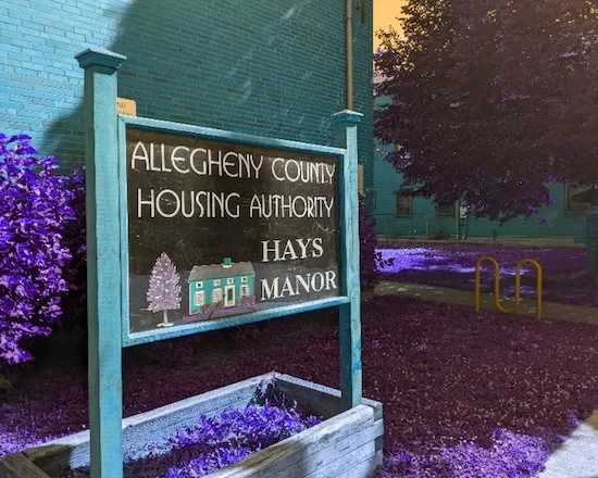 OPINION | $50+M for new and improved ‘Hays Manor’ is small-minded