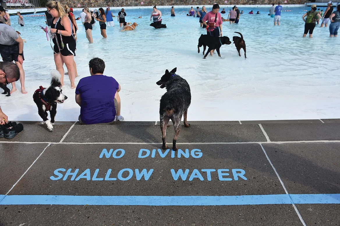 Area pools opening for season still not back to prepandemic rules